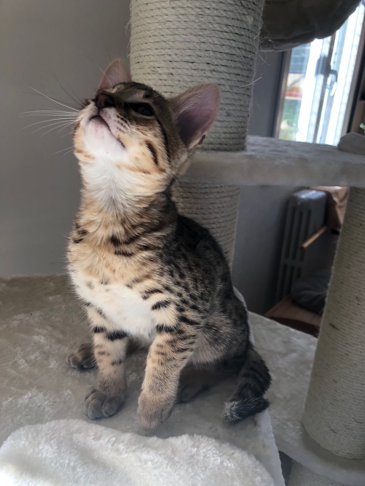 21301FBF 4ADD 42B6 AEAF F196AF1ACEBC