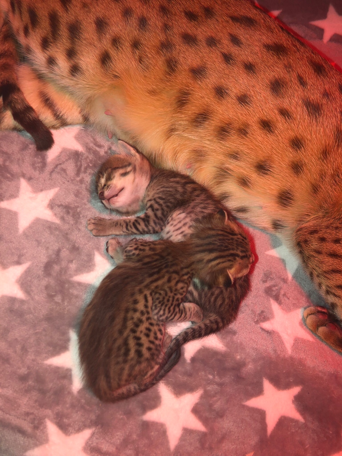 517A502F D894 46EA 96FD F0E906809B7F